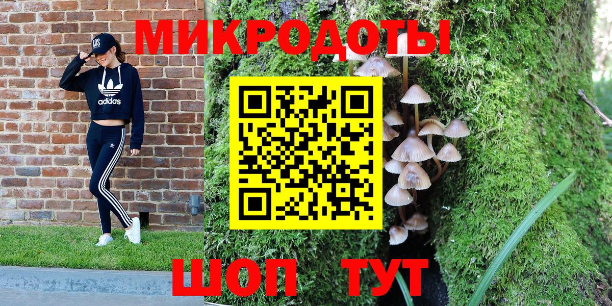 Псилоцибиновые грибы Psilocybine cubensis Серов