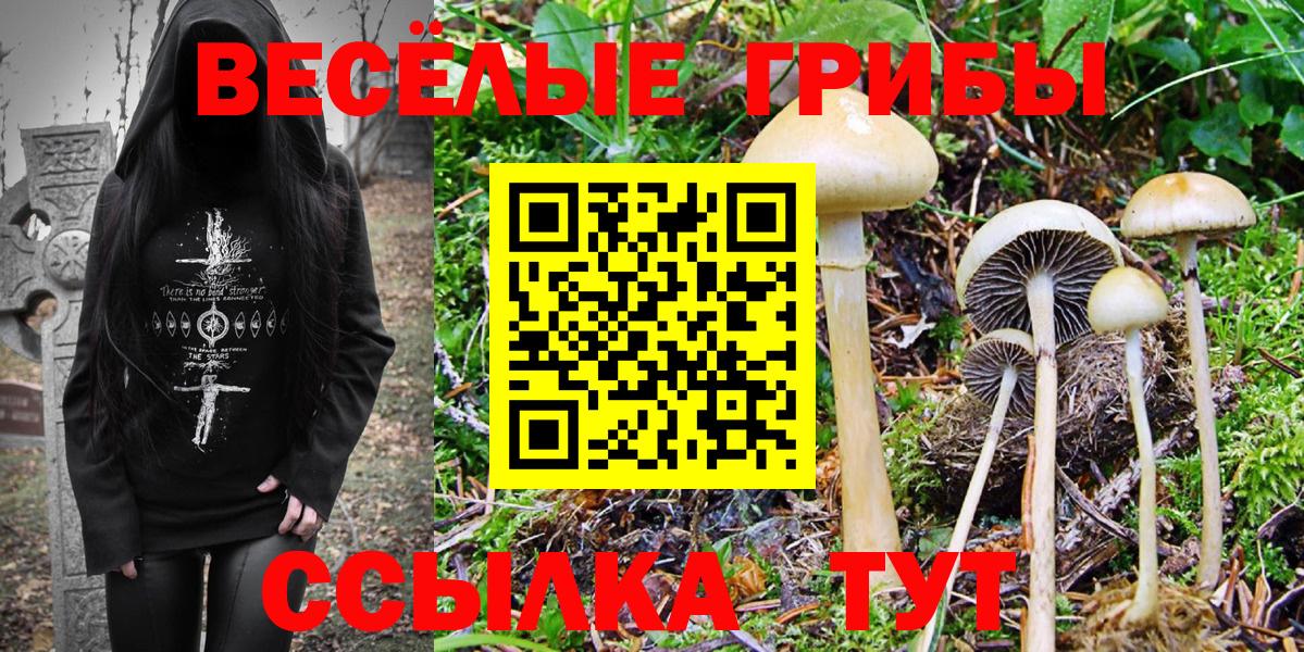 Серов  Псилоцибиновые грибы GOLDEN TEACHER  Галлюциногенные грибы Psilocybe  Вход с VPN 