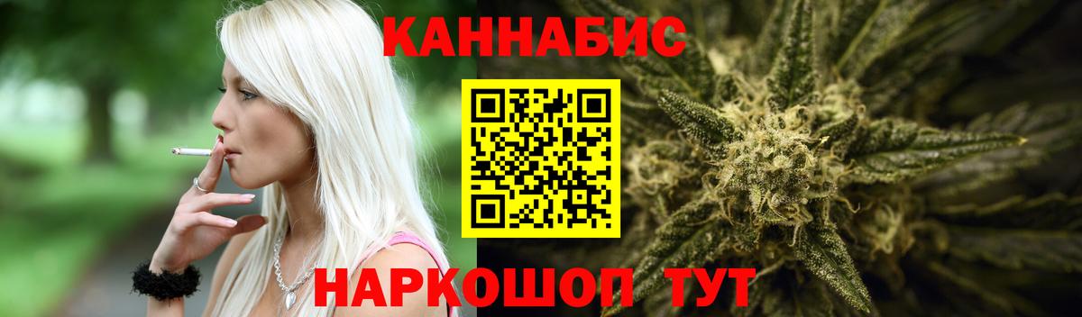 Канабис OG Kush  Бошки Шишки сатива  Каннабис планчик  Серов  Вход с VPN 
